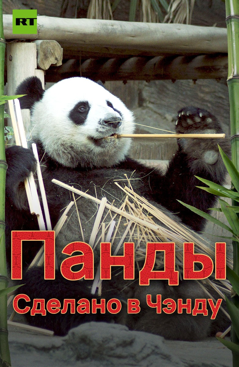 Постер Панды. Сделано в Чэнду