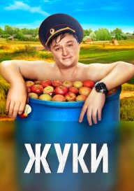 Постер Жуки