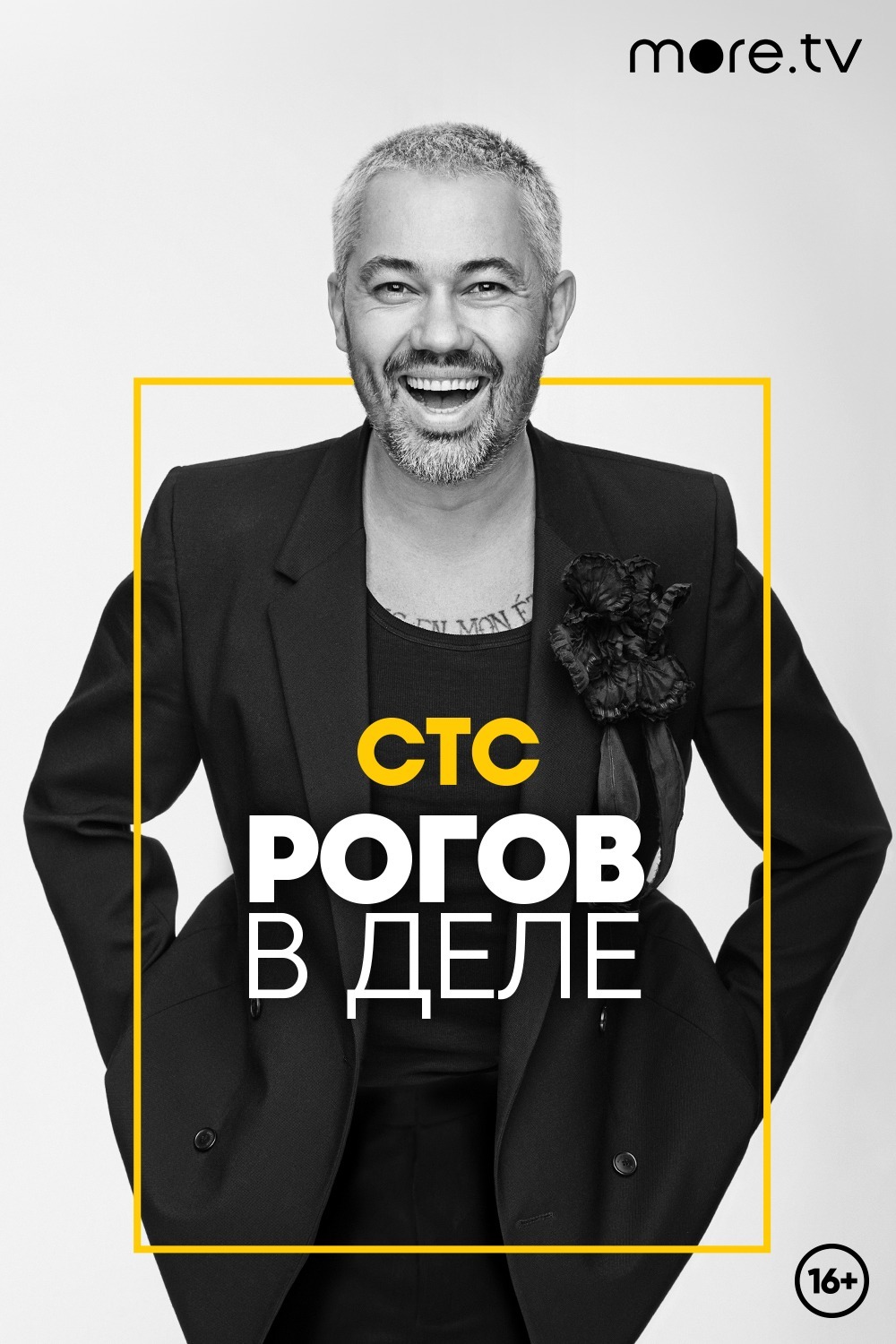 Постер Рогов в деле