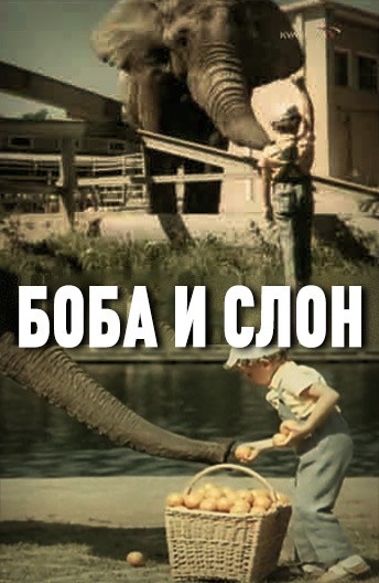 Боба и слон