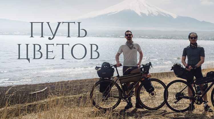 Путь цветов смотреть онлайн