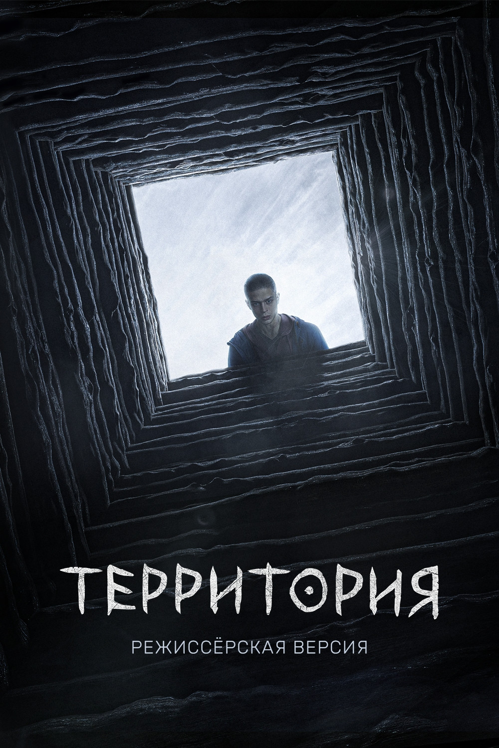 Территория. Режиссёрская версия смотреть онлайн