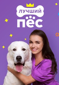 Постер Лучший пёс