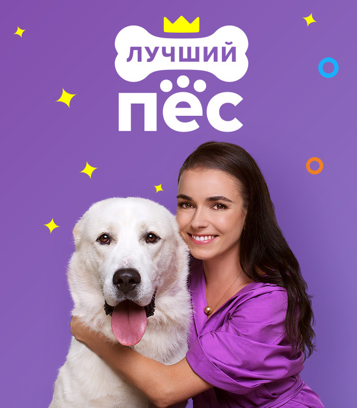Постер Лучший пёс