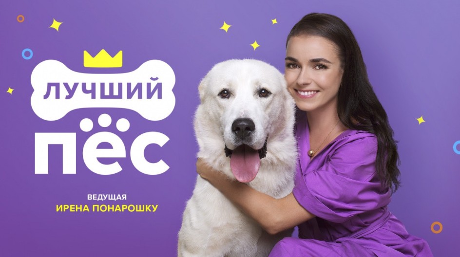 Лучший пёс смотреть онлайн Лучший пёс