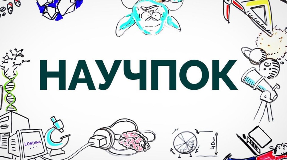 Научпок смотреть онлайн Научпок