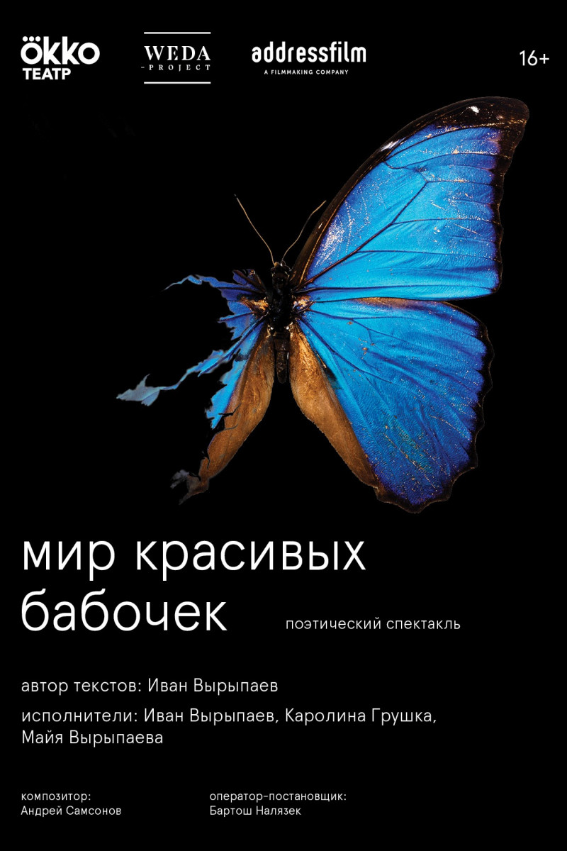 Постер Мир красивых бабочек