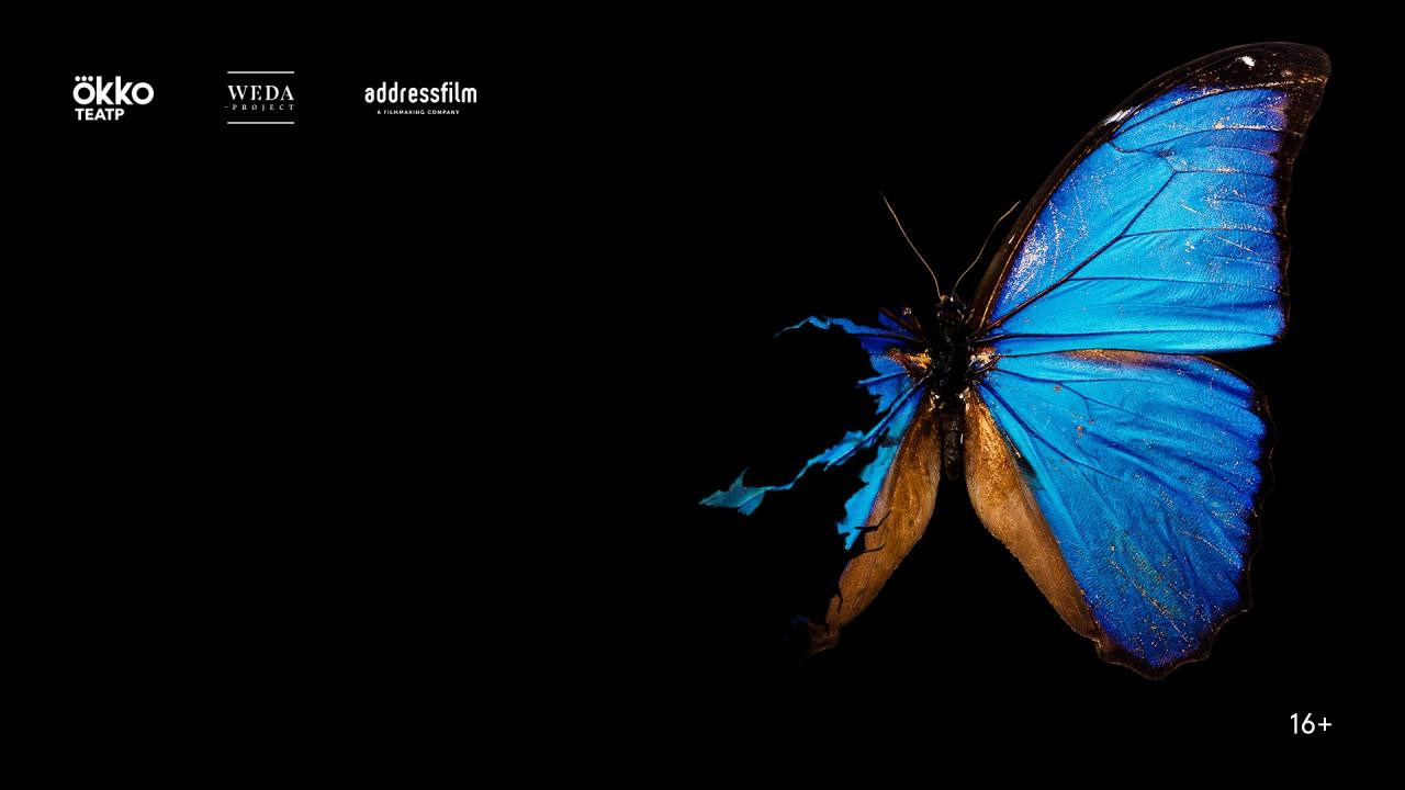Мир красивых бабочек онлайн