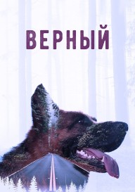 Верный