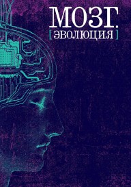 Мозг. Эволюция