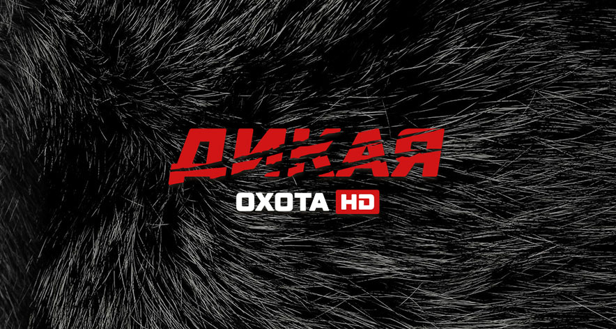 Дикая охота HD