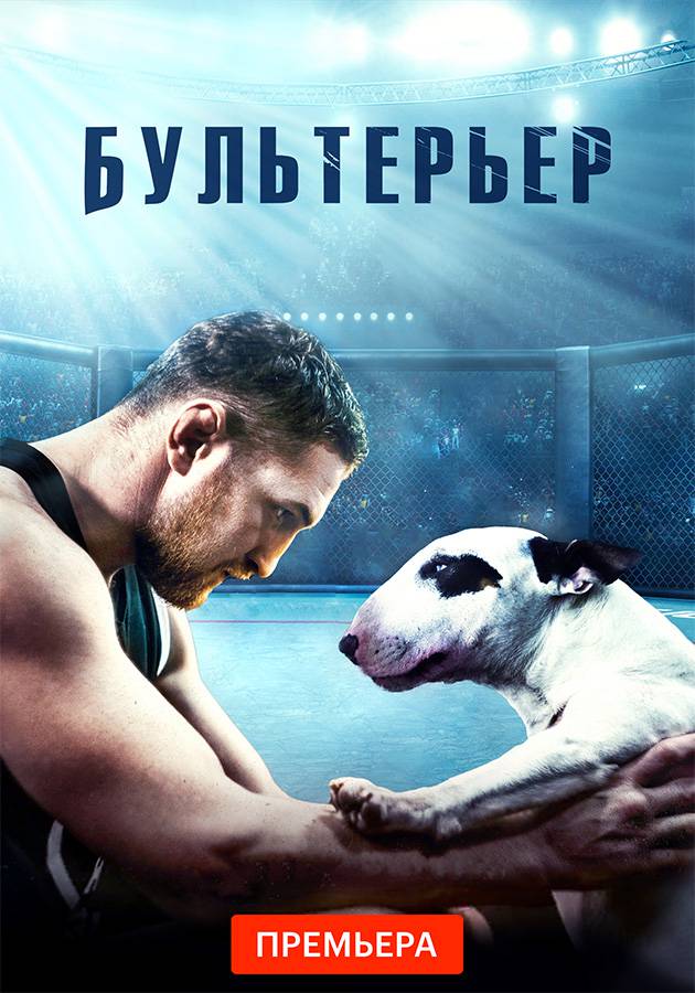 Постер Бультерьер